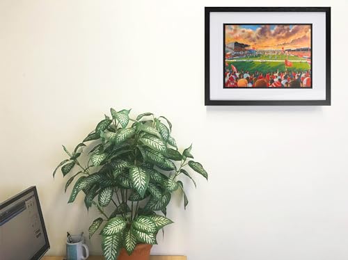 Craven Park Stadium poster A4 affiche rugby Hull Kingston Rovers art mural