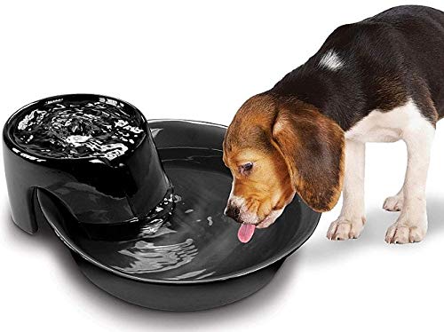 Pioneer Ceramic Drinking Fountain Big Max , 128 Oz,Black #TOP4