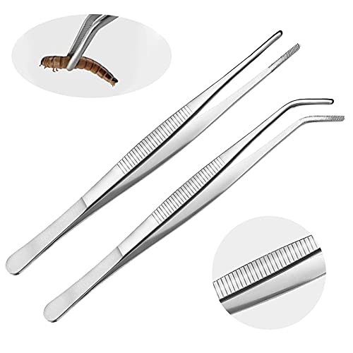 6 Stks Reptiel Voeden Kommen Ronde Wastafel Schildpad Voedsel Schotel Lichtgewicht Reptiel Voedsel Container, Reptiel… - Afbeelding 7