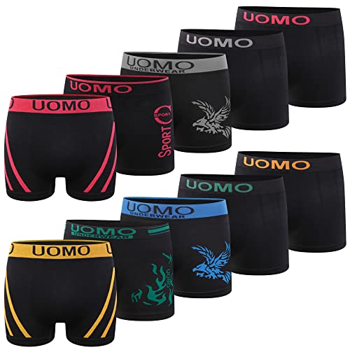 L&K 10er Pack Herren Retroshorts Boxershorts Men Mikrofaser in 10 verschiedenen Modelle 1209 BL L/XL