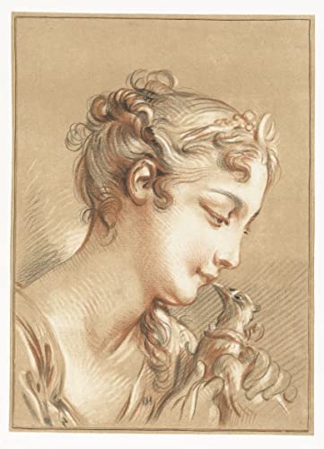 Affiche d'art Fille avec un pigeon Gilles Demarteau impression toile SERENDIPITP