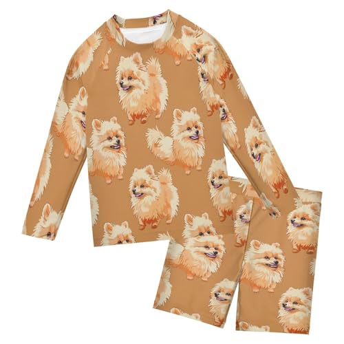 Pomeranian Boys Swimsuit Rash Guard Toddler Kids Long Sleeve Swim Shirt and Trunks Swimwear Set 3-10Y