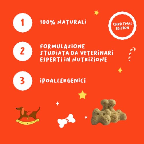 Adventskalender: Natürliche Hundekekse Apfel, Kokosnuss und Mandeln | Lecker, gesunder und weihnachtlicher Hundesnack | Erleben Sie die Magie von Weihnachten mit Ihrem Hund | 24 Stück - 70 g | Hygge