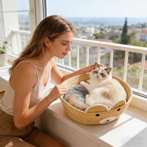 Lit d'intérieur pour chat avec tapis de couchage lavable pour chaton - 3
