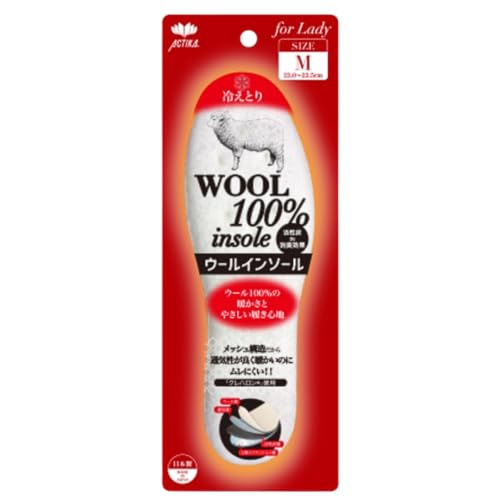 E[C\[ ~ fB[X  23.0cm~23.5cm MTCY g  h ۉ ₦