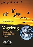 Vogelzug: Eine aktuelle Gesamtübersicht