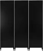 Biombo Liso Reto Fechado Pintado Divisor De Ambiente Preto ou Branco Com Pé Jt Home (PRETO, 3 FOLHAS DE BIOMBO)