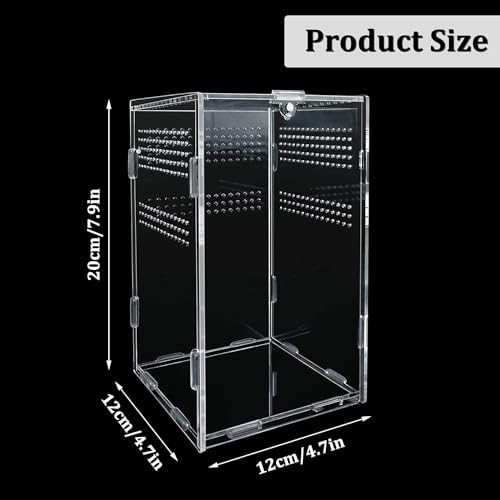 yingd Reptile Terrarium Box, Reptile Feeding Case, Transparent Insect ...