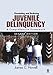 Preventing and Reducing Juvenile Delinquency: A Comprehensive Framework