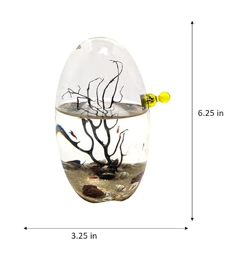 Glass Self Sustaining Shrimp Ecosphere Oval by Shrimpscity - Thumbnail 3