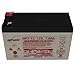 EnerSys Genesis NP7-12 12V 7Ah Sealed Lead Acid Battery
