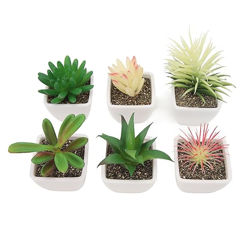 Fausses plantes réalistes de qualité supérieure avec pots pour décor soigné - 7
