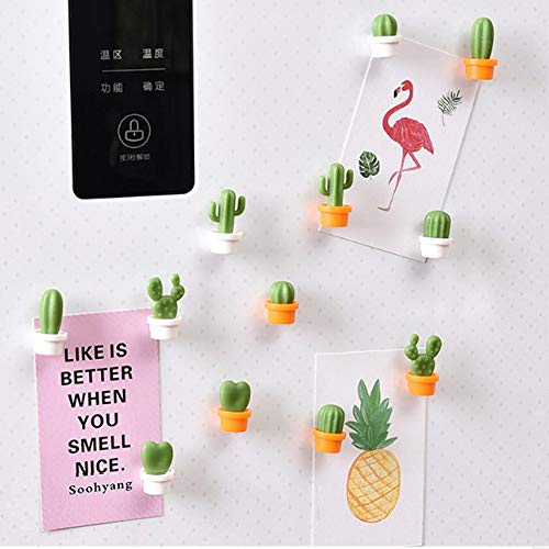 6 imanes decorativos para refrigerador de plantas suculentas miniatura 7