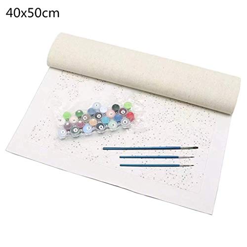 HASTHIP Paint by Numbers for Adult Kits, DIY Canvas Oil Painting Kit for Kid Beginners with Paintbrushes Acrylic Pigment Drawing Paintwork, Multicolor