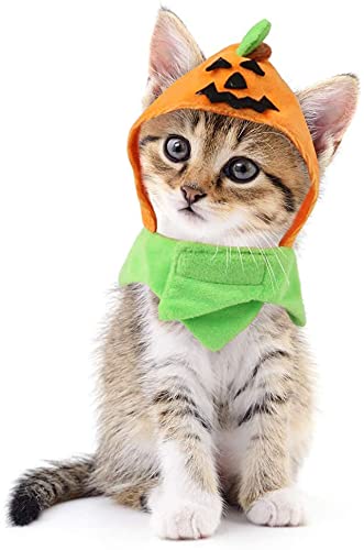 Halloween Katzenkostüm – Kürbis-Hut Für Haustiere, Verstellbar, Aus Weichem Plüsch