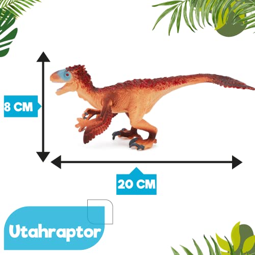Zappi Co Childrens Utahraptor Dinosaur Figure Toy (20cm Length) Realistic Detailed Dino Collection for Kids - Image 3