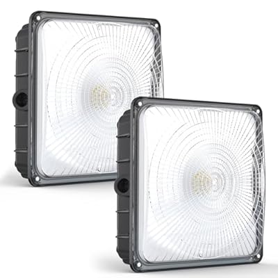 HYPERLITE LED Canopy Light 45W: 6300LM 5000K Daylight - 120-277V LED Canopy Lights Outdoor IP65 Waterproof for Workshop Carport Entrance - 2 Pack