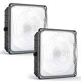 HYPERLITE LED Canopy Light Outdoor: 60W 2-Pack UL...