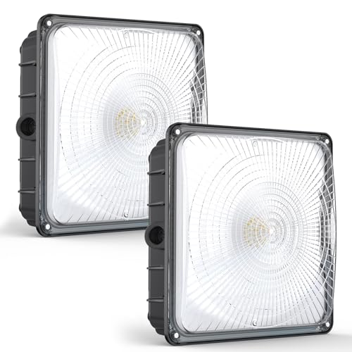 HYPERLITE LED Canopy Light Outdoor: 60W 2-Pack UL...