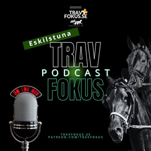Travfokus.se Podcast - Eskilstuna V85