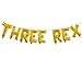 Three Rex Letter Balloon for Three Year Old Birthday, Dinosaur Party, Dino Theme Decor, Party Balloons Decorations Supplies (16inch,Gold)