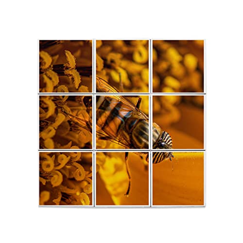 Carreaux céramique décoratifs pour cuisine nature et jardin