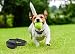 SIXIN Cerca eléctrica para Perros con GPS, Sistema de contención de Mascotas...