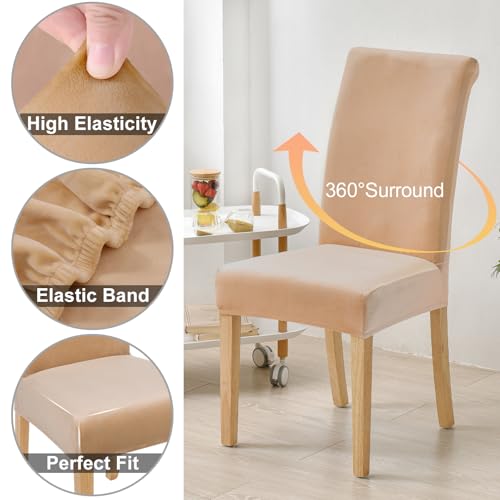 Housses de chaise en velours beige Smiry au design stretch raffiné