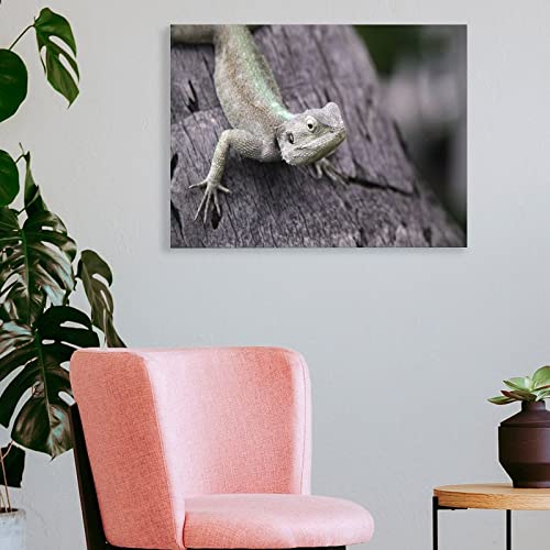 Art Posters Animal African Lizard Wall Posters Wall Art Paintings Canvas Wall Decor Home Decor Living Room Decor Aesthetic Prints 24X32Inch(60X80Cm) Frame-Style #TOP3