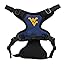 West Virginia Mountaineers West Virginia Mountaineers