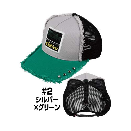 I[i[(OWNER) OBOFR{Lbv X^[ #2 Vo[×O[