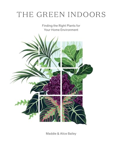 The Green Indoors: Finding the Right Plants for Your Home