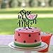 WAHAWU Watermelon Cake Topper - One in a Melon Birthday Cake Topper, Summer Baby First Birthday Cake Topper, Birthday Party Supplies, Photo Decoration Props, Birthday Party Gifts
