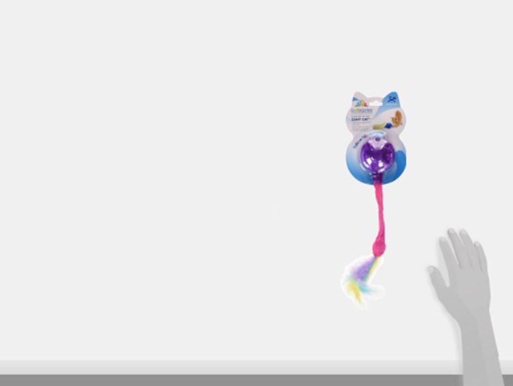 zany cat toy