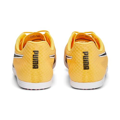 Pointes D'athlétisme Evospeed Distance 11 - vue 9