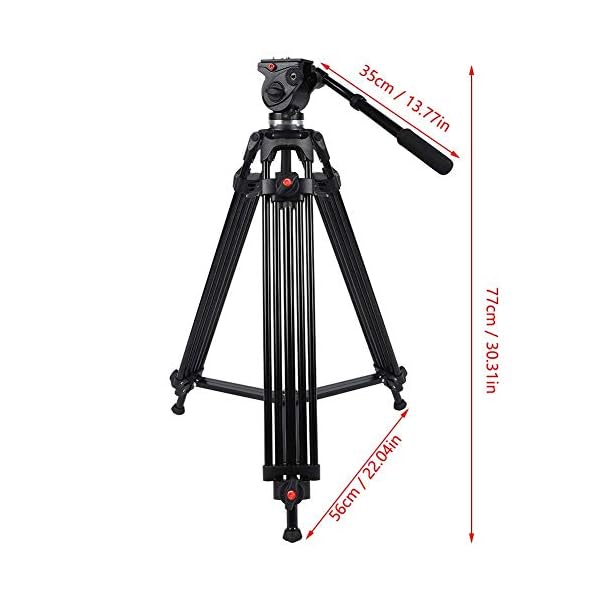 Verstellbares Stativ, 161 cm Video Kamera Stativ für Reisen/YouTube-Video/Fotografie/Vlog, Kamera Stativ Erweiterbarer… – Bild 5