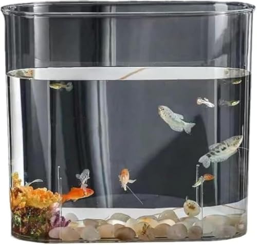 Xiraivke 透明アクリル金魚鉢・飼育水槽 プラスチック製で軽量且つ割れにくい 大容量テラリウム容器 メダカ・金魚・水草に最適 + 観葉植物水培にも対応 おしゃれインテリアボウル