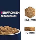 Eukanuba Hundefutter mit frischem Huhn für große Rassen, Premium Trockenfutter für ausgewachsene Hunde, 3 kg