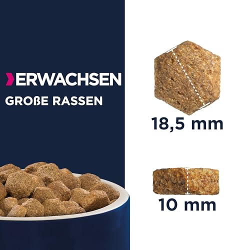 Eukanuba Hundefutter mit frischem Huhn für große Rassen, Premium Trockenfutter für ausgewachsene Hunde, 3 kg