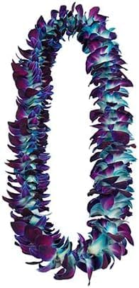 Miniatura 9 de Miami Fresh Orchid Flower OrchidClub USA Sunne Tropical Loose Bloom DIY Lei, decoración de alimentos y bebidas 5050 (amarillo y azul)