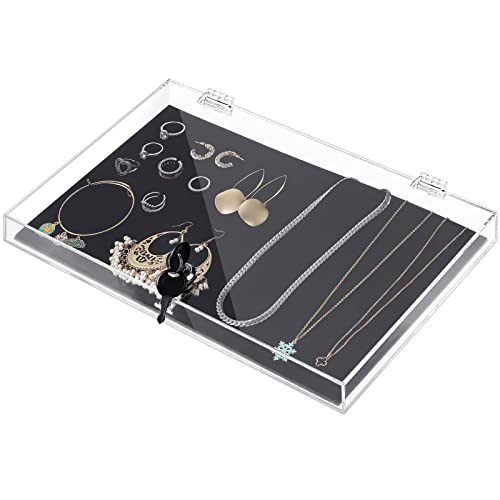 Weysat Acrylic Locking Case