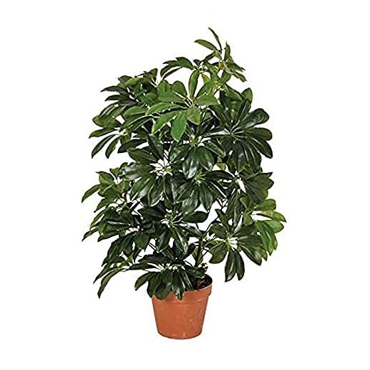 Planta artificial cheflera 65 cm altura, Catral 74010004