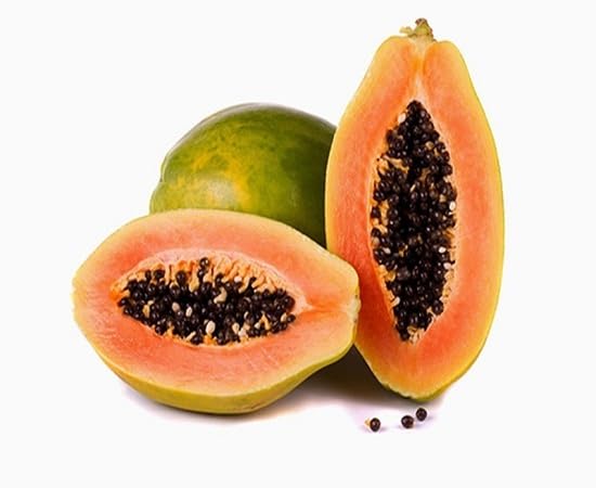 Willvine Florida Red Royale Papaya Seeds-PAUS-8R-picture-16