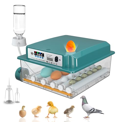 Hethya Incubadora Huevos Gallina, Incubadora de 12-16 Huevos, Incubadora Automática con Volteo...