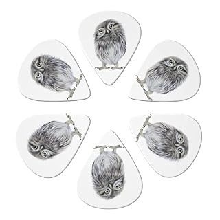 ASDTEHCY Lot de 6 médiators en celluloïd Little Owl pour guitares acoustiques, électriques, basses ou ukulélé - Les Beatles, Paul McCartney, John Lennon, RIngo Starr, George Harrison ASDTEHCY Lot de 6 médiators en celluloïd Little Owl pour guitares acoustiques, électriques, basses ou ukulélé – Image 2