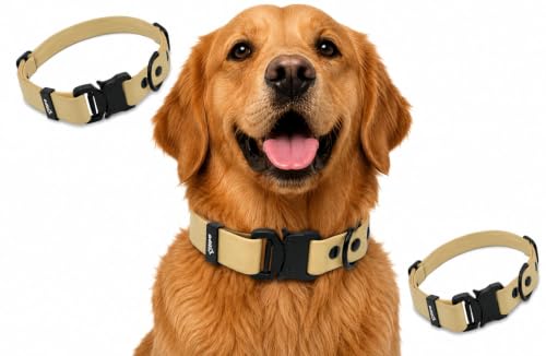 Image of Adil's Biothane Waterproof Dog Collar, Dog Leash & Collar Leash Combo | Heavy Duty TPU Coated Webbing | Adjustable Quick Release Buckle | Odour Resistant (Lemon Green, L-22, Collar only)