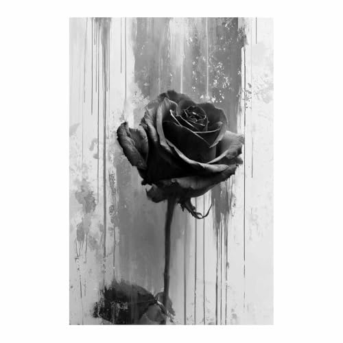 Poster Noir Et Blanc XENIOU 70x100cm pour décoration murale salon