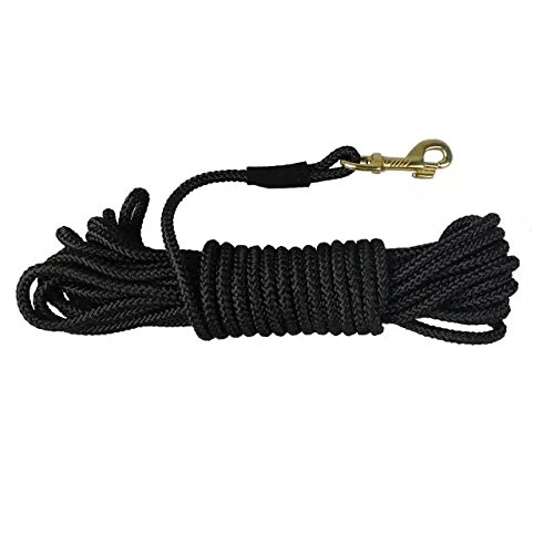 dog leash long