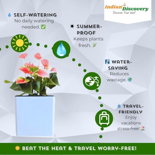 Image of Indian Discovery Self Watering Wall Hanging Planter|Hanging /Hooked Flower Pots for Home, Balcony, Vertical Garden Decor Flower Pots(2 PC, White, Square) |6 Inch UV-Resistant Plastic Plant Pots