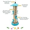 North States Village Collection - 2-in-1 Hinged-Port Birdfeeder Fiesta Blue: Hanging Bird Feeder for Outdoors, Holds 1.75 Pounds of Seed #3